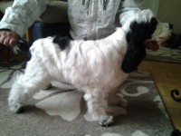 /album/patu/helmikuu-004-jpg/